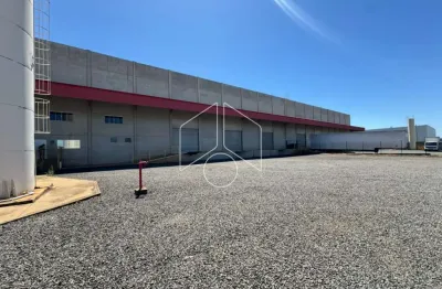 Barracão / Galpão / Depósito para alugar na Avenida República, 80324, Distrito Industrial Santo Barion, Marília