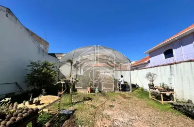 Terreno comercial para alugar na Avenida Nelson Spielmann, 6095, Palmital, Marília