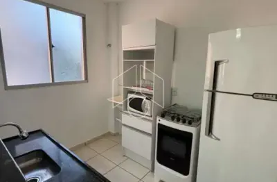 Apartamento com 2 quartos para alugar na Avenida Doutor Hércules Galletti, 3087, Jardim Califórnia, Marília