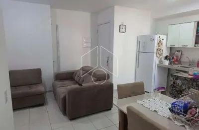 Apartamento com 2 quartos para alugar na Rua Ribeirão Preto, 4155, São Paulo, Marília