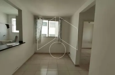 Apartamento com 2 quartos para alugar na Rua do Algodão, 2106, Higienópolis, Marília