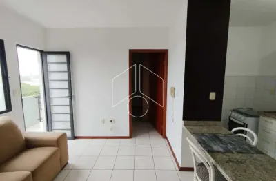 Apartamento com 1 quarto para alugar na Rua Lourival Freire, 491, Fragata, Marília