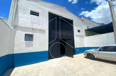 Barracão / Galpão / Depósito para alugar na Rua Alexandre Fernandes, 5168, Jardim Pérola, Marília