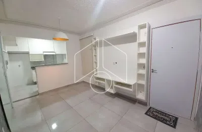 Apartamento com 2 quartos para alugar na Avenida Doutor Hércules Galletti, 2147, Jardim Califórnia, Marília