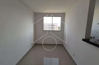 Apartamento com 2 quartos para alugar na Rua Maria Giraldi Cavallari, 1110, Jardim Cavallari, Marília