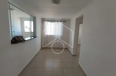 Apartamento com 2 quartos para alugar na Rua Maria Giraldi Cavallari, 1135, Jardim Cavallari, Marília