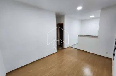 Apartamento com 2 quartos para alugar na Rua Abs Yasbek, 276, Vila Maria, Marília