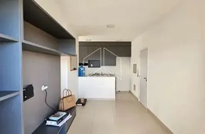 Apartamento com 2 quartos para alugar na Rua Gregório Montolar, 1058, Fragata, Marília