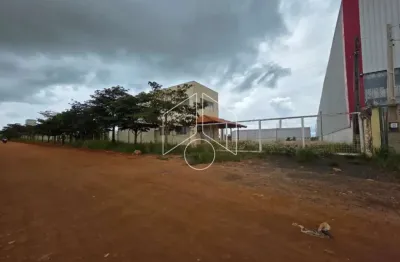 Barracão / Galpão / Depósito para alugar na Avenida Yusaburo Sasazaki, 20099, Distrito Industrial Santo Barion, Marília