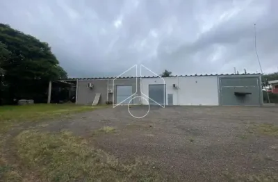 Barracão / Galpão / Depósito para alugar na Rua Hygino Muzy Filho, 10762, Mirante, Marília
