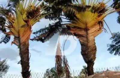 Casa comercial à venda no loteamento alphaville campinas, campinas , 568 m2 por r$ 2.900.000