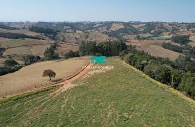 Terreno comercial à venda na Munhoz - Mg, 01, Centro, Munhoz