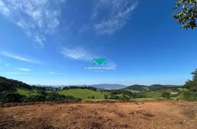 Terreno comercial à venda na Toledo - Mg, 999, Centro, Toledo