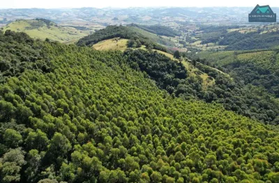 Terreno à venda, 96000 m² por r$ 400.000,00 - centro - pedra bela/sp