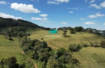 Terreno comercial à venda na Pedra Bela - Sp, 04, Centro, Pedra Bela