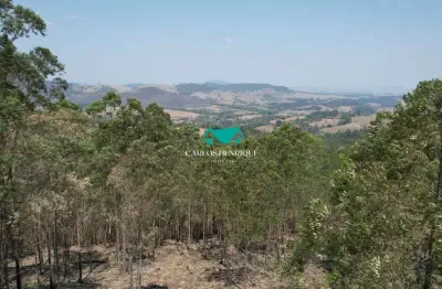 Terreno comercial à venda na Pedra Bela - Sp, 02, Zona Rural, Pedra Bela