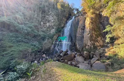 Chácara / sítio com 7 quartos à venda na Itapeva, 2, Zona Rural, Itapeva