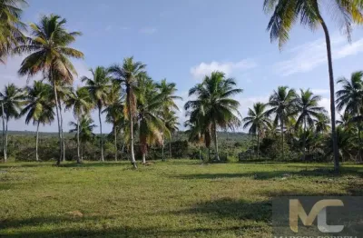 Chácara / sítio à venda na rodovia rodovia conde/esplanada, sn, zona rural, conde, 200 m2 por r$ 1.710.000