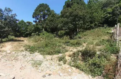 Terreno comercial para alugar na Cidade Nova, Caxias do Sul 