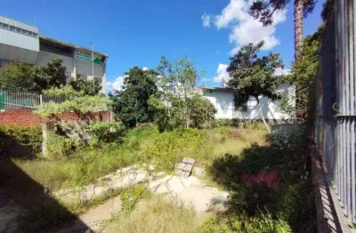 Terreno à venda no Centro, Caxias do Sul 