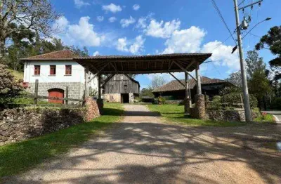 Ponto comercial para alugar na Nossa Senhora da Saúde, Caxias do Sul 