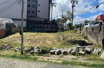Terreno à venda no São Pelegrino, Caxias do Sul 