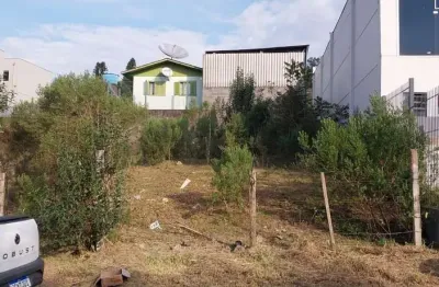 Terreno à venda no Salgado Filho, Caxias do Sul 