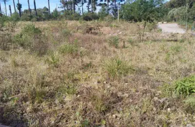 Terreno à venda na Ana Rech, Caxias do Sul 