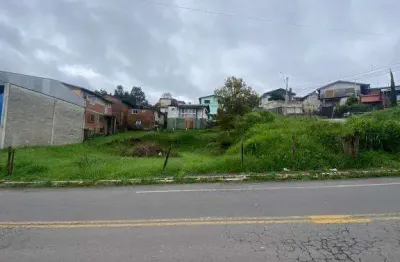 Terreno comercial para alugar no Pioneiro, Caxias do Sul 