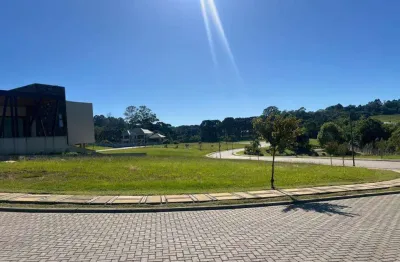 Terreno à venda no Pedancino, Caxias do Sul 