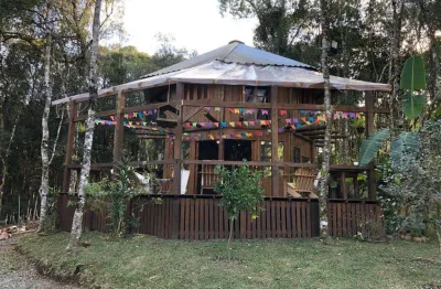 Chácara / sítio à venda no Pedancino, Caxias do Sul 