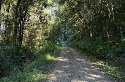 Chácara / sítio à venda no Centro, Caxias do Sul 