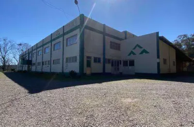 Barracão / Galpão / Depósito para alugar no Santa Lúcia do Piaí, Caxias do Sul 