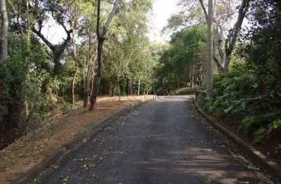Terreno à venda em campinas, parque são quirino, com 2020 m², chácaras são quirino