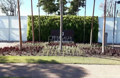 Terreno à venda em campinas, loteamento residencial pedra alta (sousas), com 1041.73 m²
