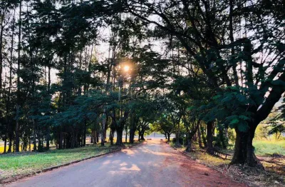 Terreno em condomínio fechado à venda na Avenida Dermival Bernardes Siqueira, 245, Swiss Park, Campinas