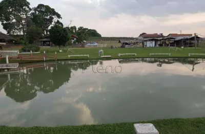 Chácara / sítio com 3 quartos à venda na Área Rural de Jaguariúna, Jaguariúna 