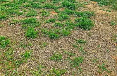 Terreno à venda em indaiatuba, jardim casablanca, com 160 m²