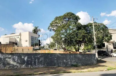 Terreno à venda e para alugar em campinas, nova campinas, com 925 m²
