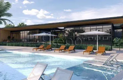 Terreno à venda em campinas, jardim madalena, com 260 m², vista campinas