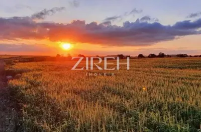 Terreno à venda na da lage, 1, são luiz do purunã, balsa nova por r$ 1.250.000