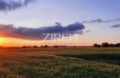 Terreno à venda na da Lage, 1, São Luiz do Purunã, Balsa Nova por R$ 1.250.000