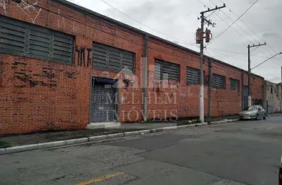 Barracão / Galpão / Depósito para alugar na Rua Lopes da Costa, Chácara São João, São Paulo
