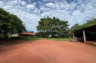 Sítio à venda com granja instalada, vila xavier, araraquara - sp
