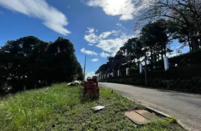 Terreno à venda na Rua Paraguai, 772, Cidade Nova, Ivoti