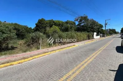 Terreno à Venda no Mariscal com Fundos para Área de Preservação Permanente | Bom