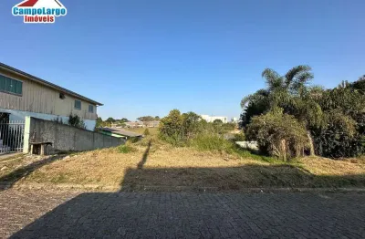 Terreno à venda na Rua Vereador Antônio Fabrício Da Silva, Vila Solene, Campo Largo