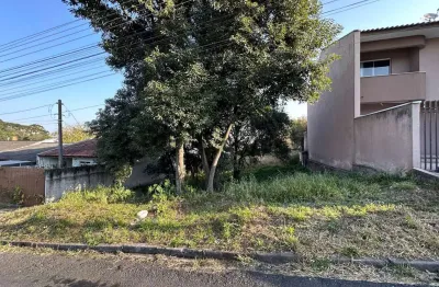 Terreno lote para venda em vila solene campo largo-pr