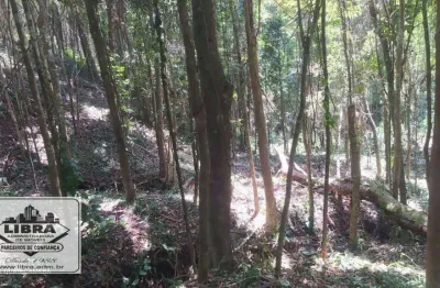 Vendo dois lotes, juntos ou separados, em condomínio 10200 m2