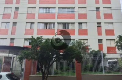 Apartamento com 3 quartos para alugar no parque santa mônica, são carlos  por r$ 2.056